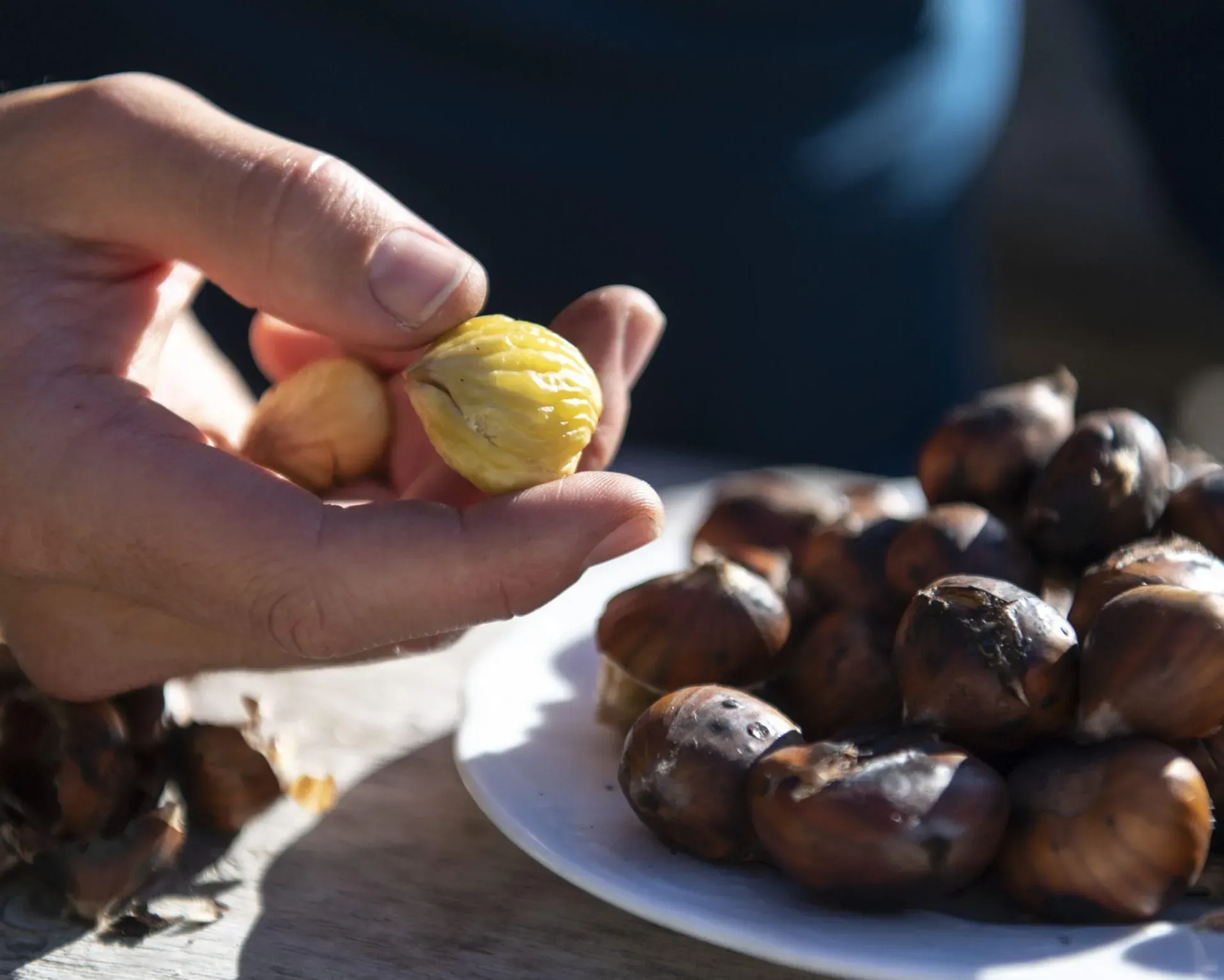 Castagne Alto Adige