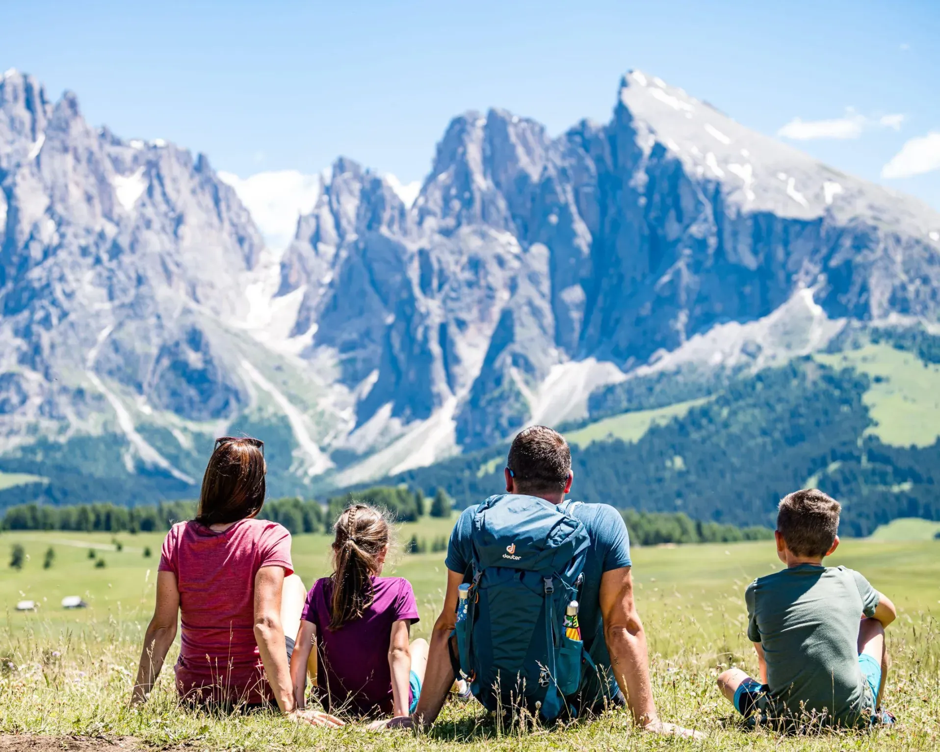 Vista estiva sul Sassolungo e Sassopiatto